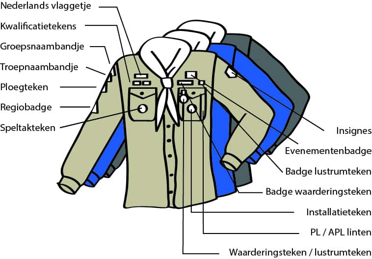 Scouts bloes